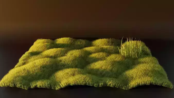 Realistic Grass model
