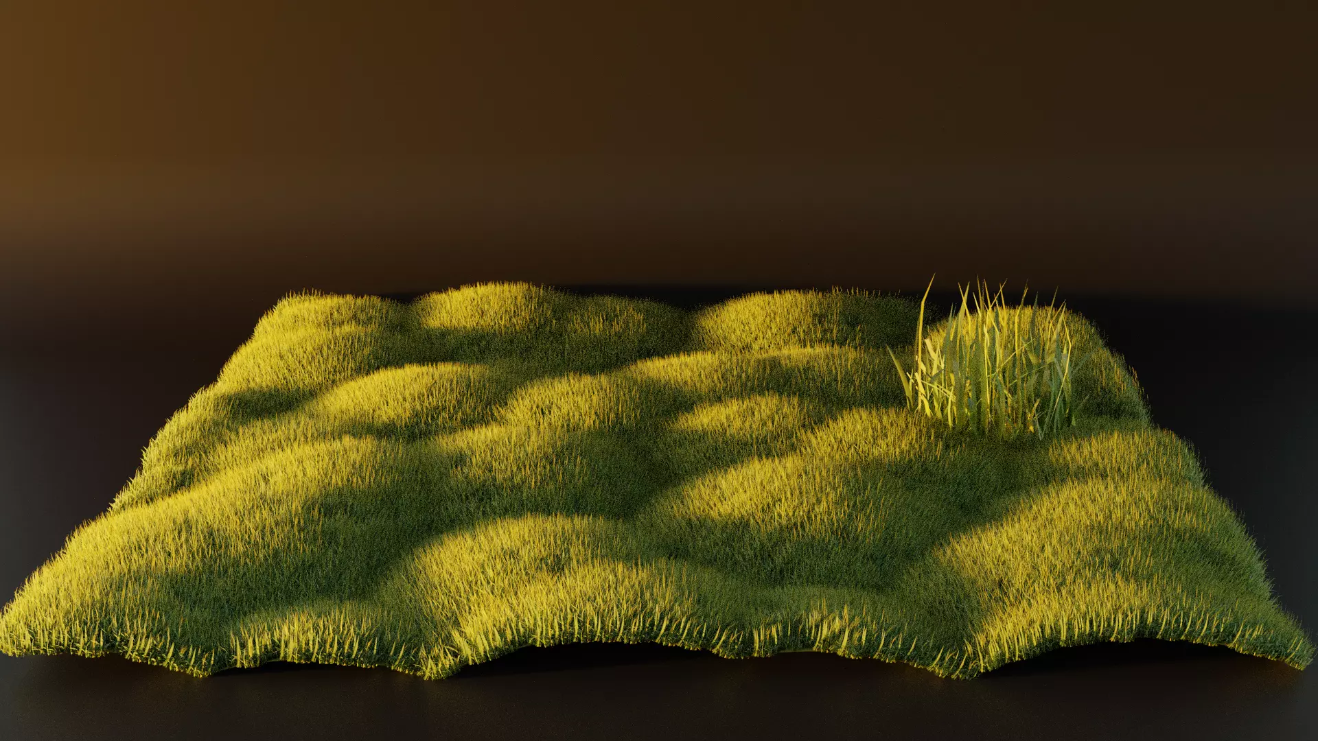 Realistic Grass model 3D model_0