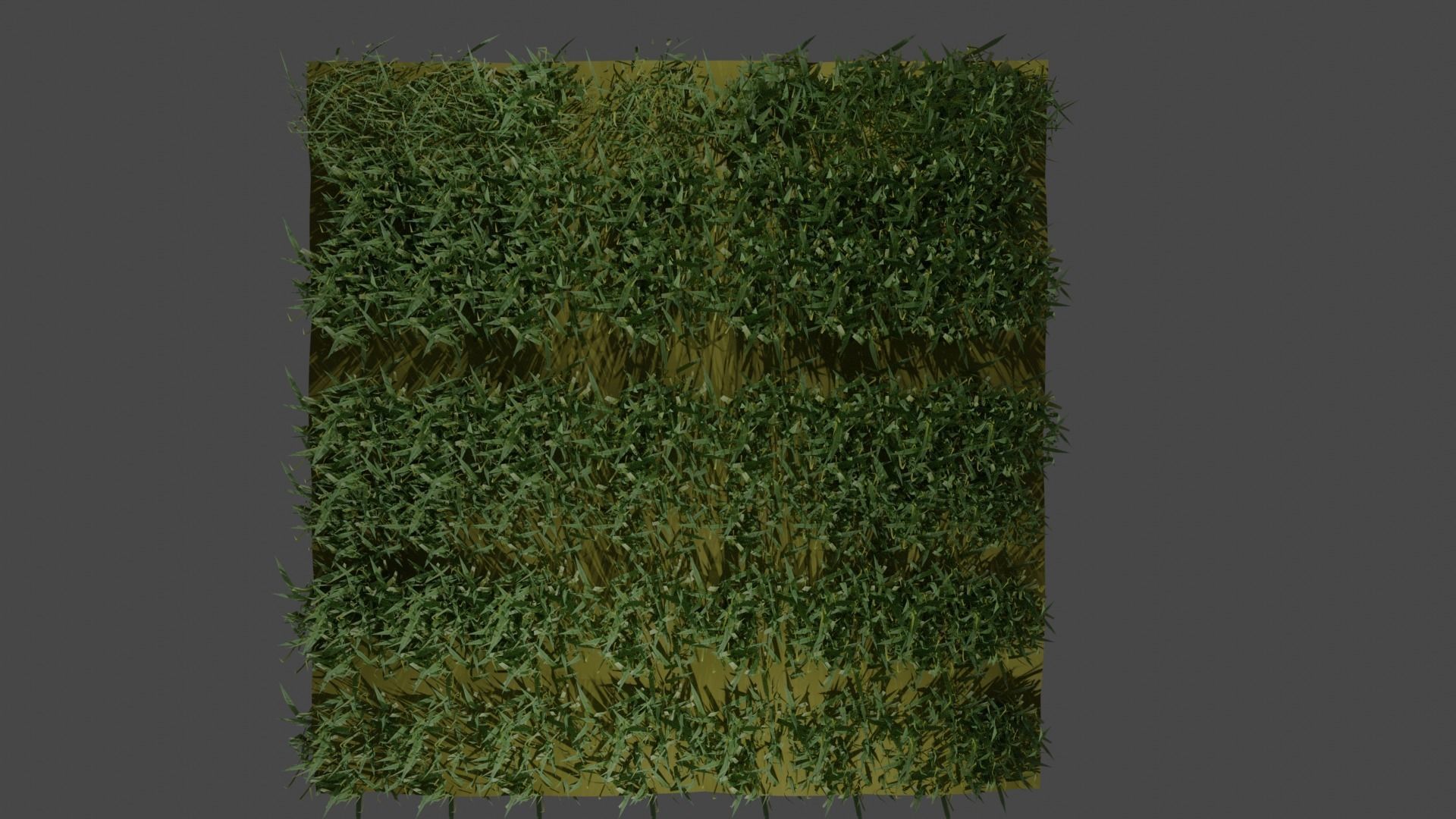 Realistic Grass model 3D model_5