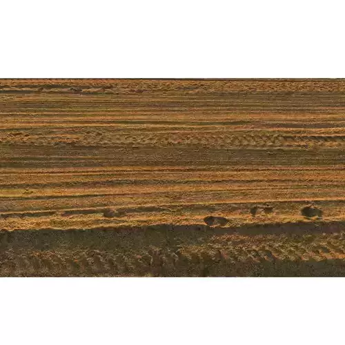 Sandy single lane road - 25 meters 3D model