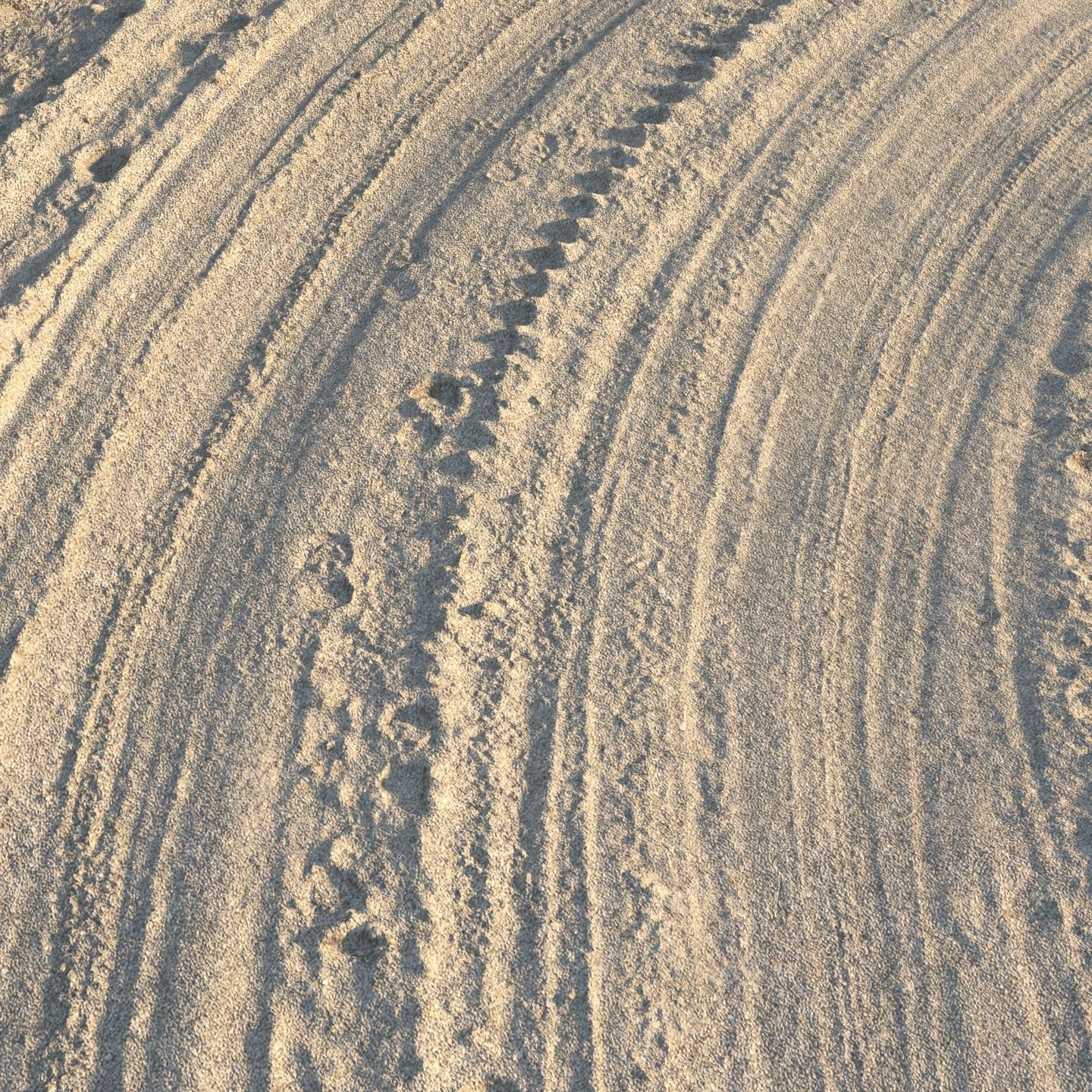 Sandy single lane road - 25 meters 3D model_4