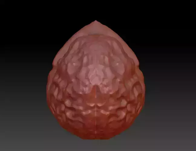 Walnut round carving STL download walnut 3D map download 3D print model