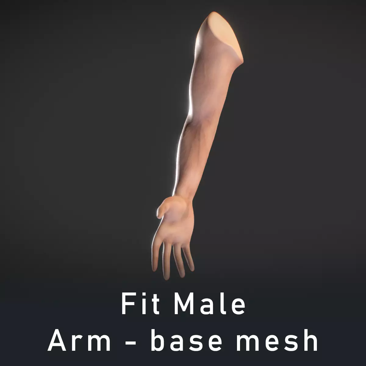 Human Male Arm - base mesh 3D model_0