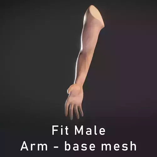 Human Male Arm - base mesh 3D model