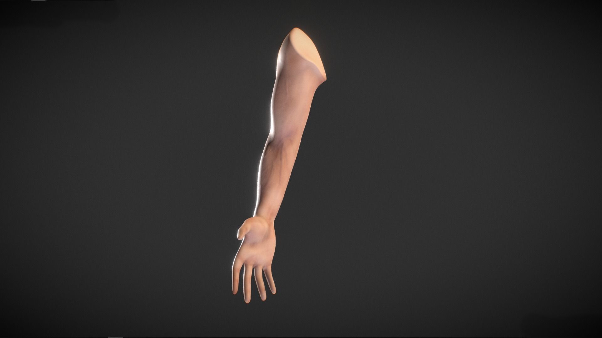 Human Male Arm - base mesh 3D model_1