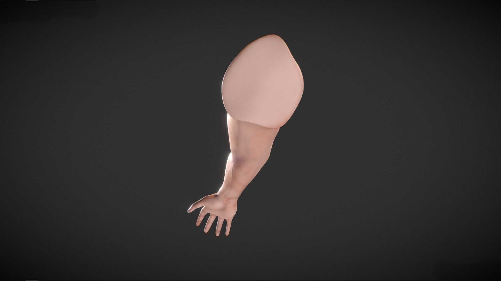 Human Male Arm - base mesh 3D model_4