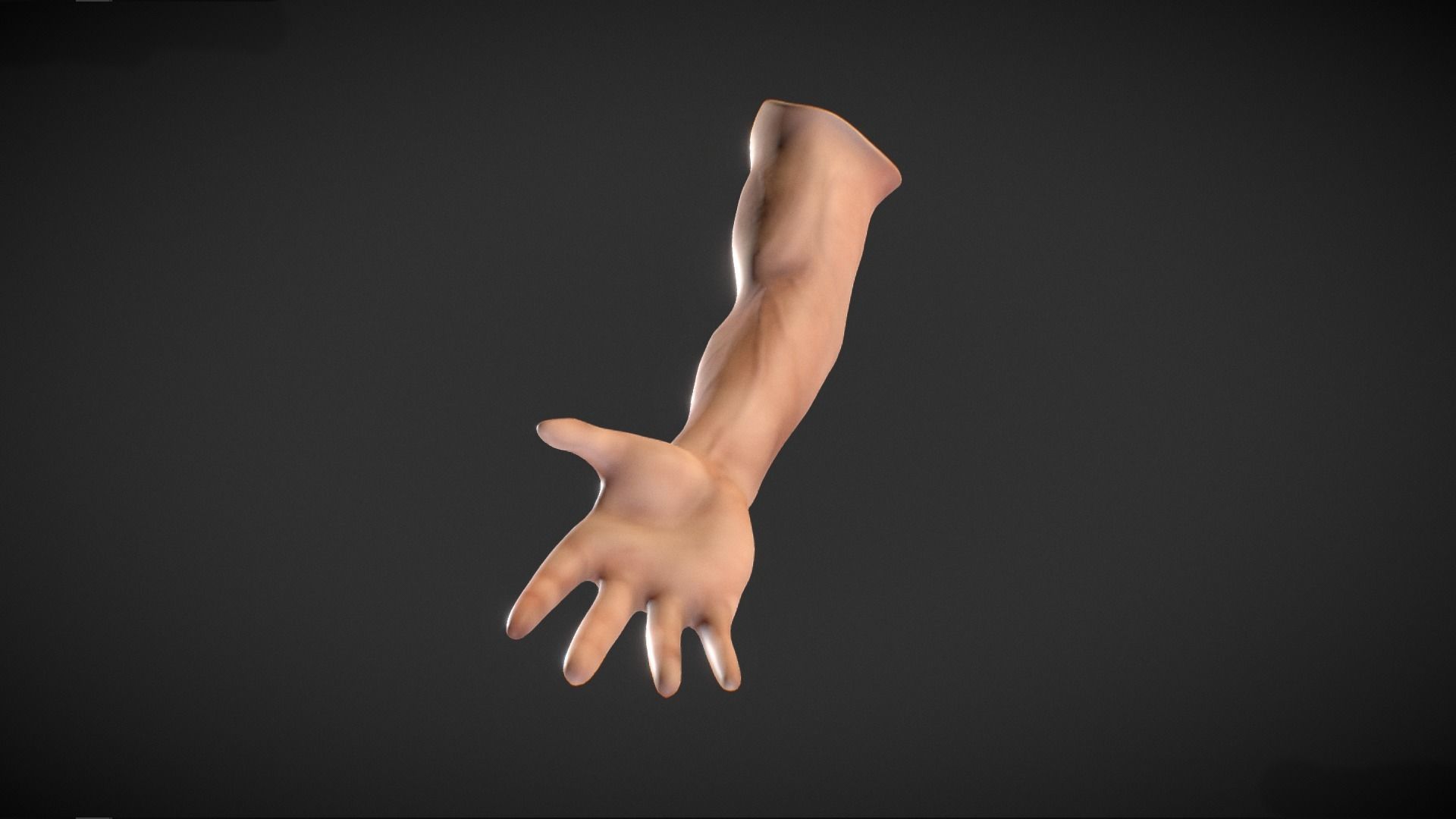 Human Male Arm - base mesh 3D model_5