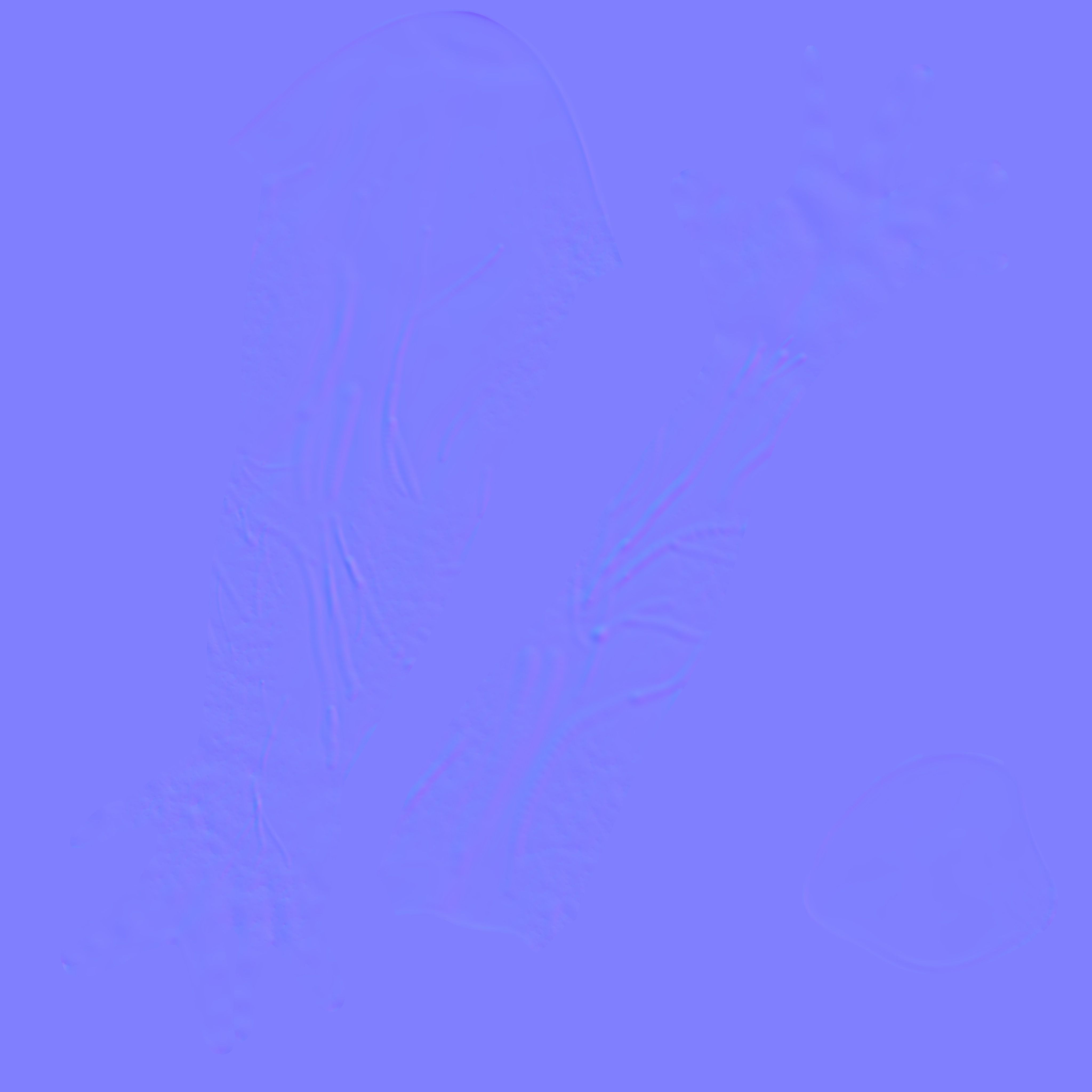 Human Male Arm - base mesh 3D model_7