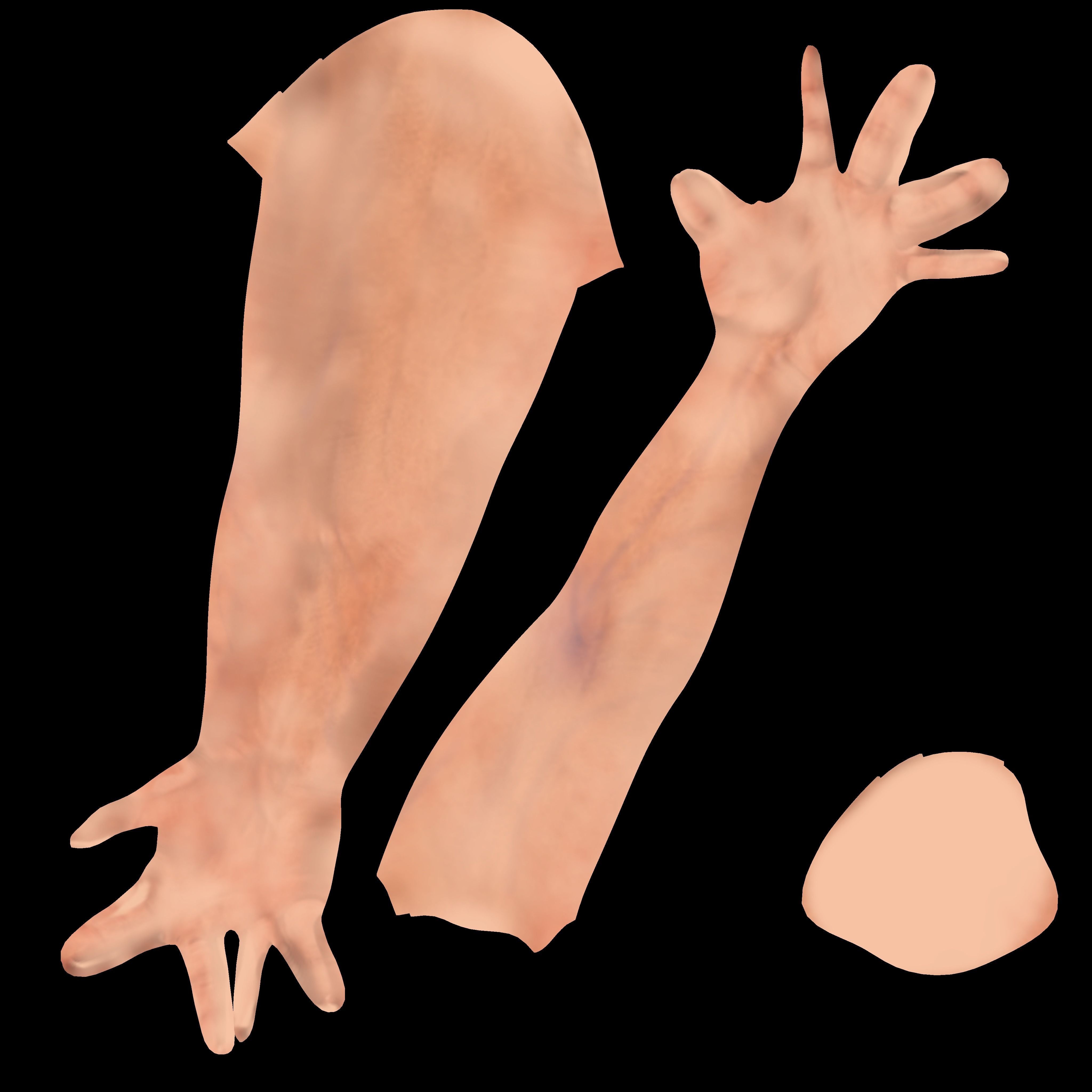 Human Male Arm - base mesh 3D model_8