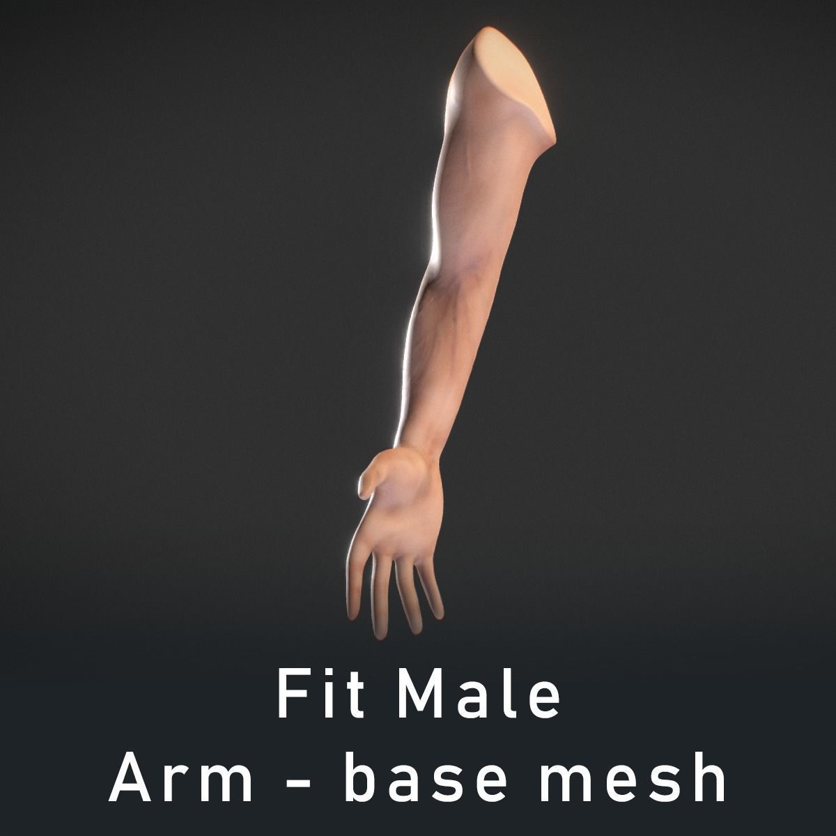 Human Male Arm - base mesh 3D model_6