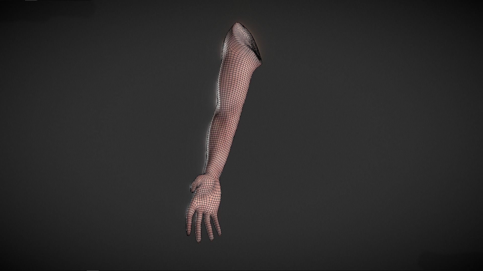 Human Male Arm - base mesh 3D model_2