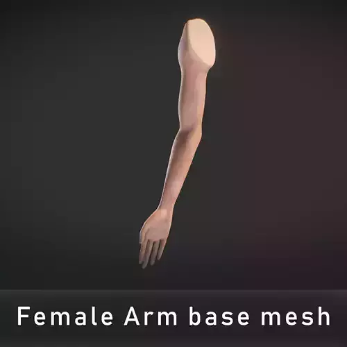 Female Arm base mesh 3D model