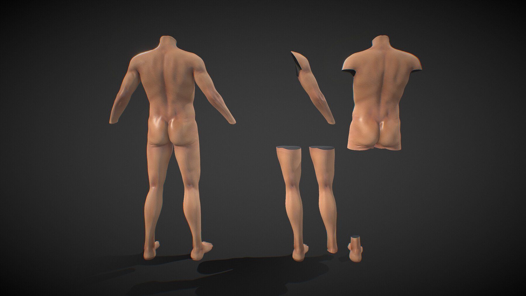 Fit Male Anatomy - Body parts base mesh pack 3D model_3