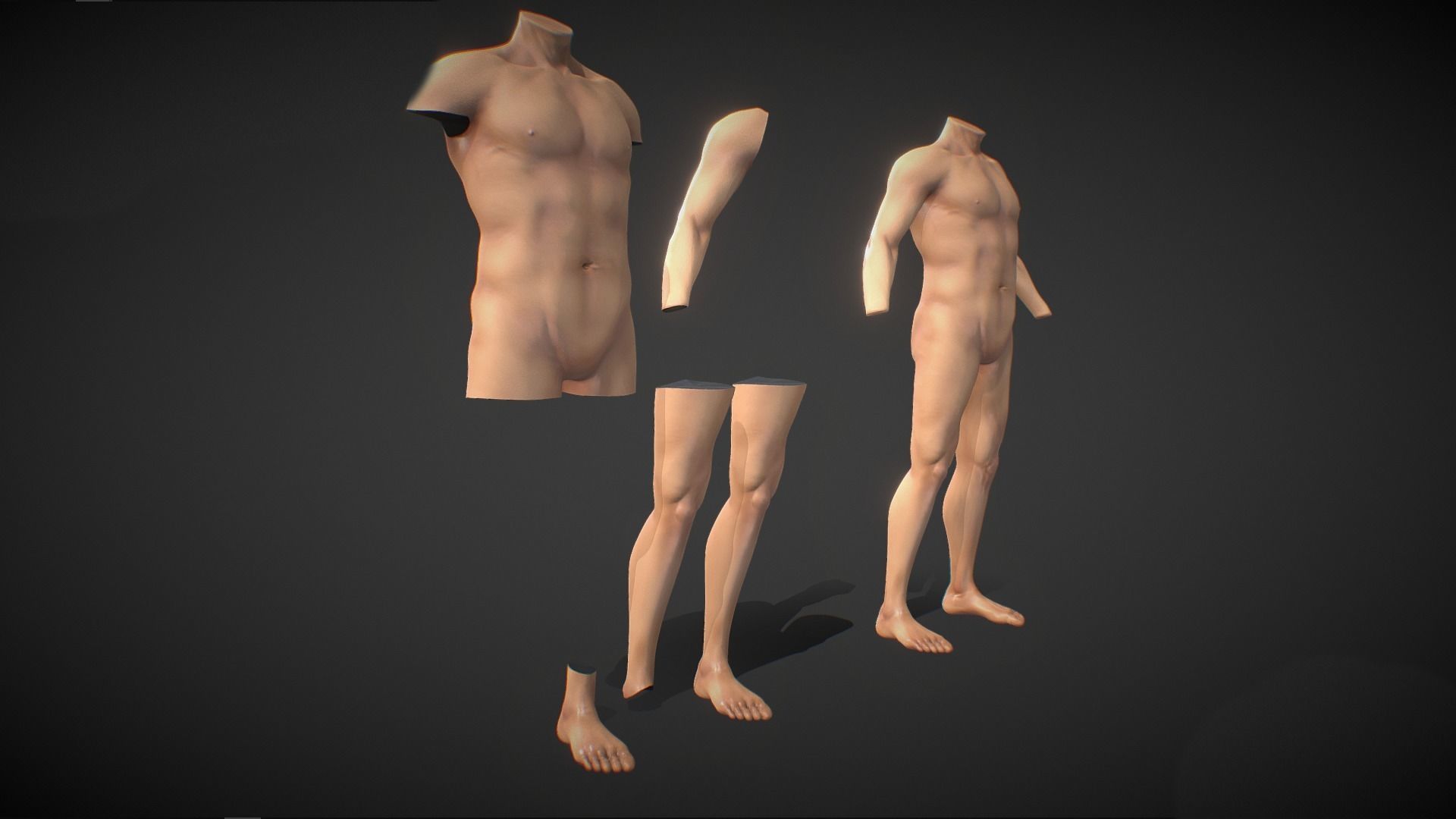 Fit Male Anatomy - Body parts base mesh pack 3D model_4