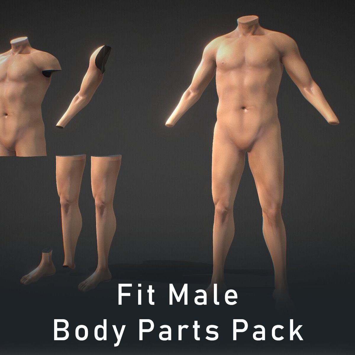 Fit Male Anatomy - Body parts base mesh pack 3D model_1