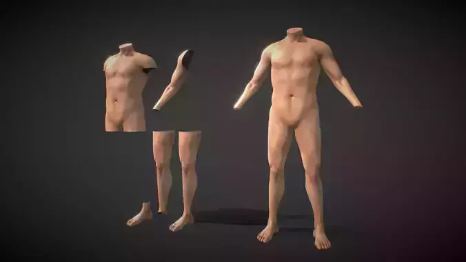 Fit Male Anatomy - Body parts base mesh pack 3D model