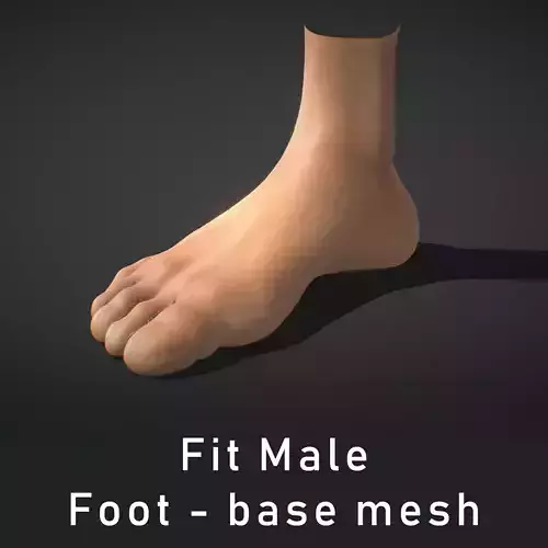 Fit Male Anatomy - Foot base mesh 3D model