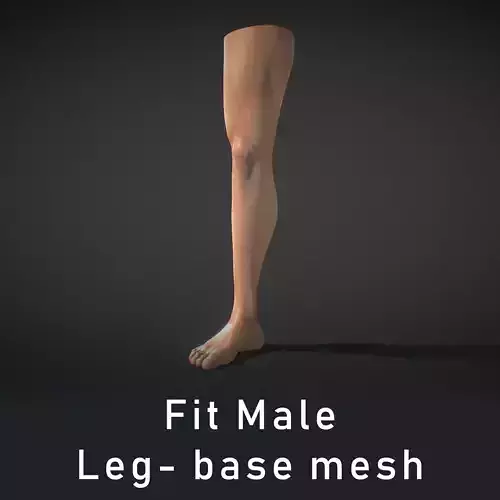 Fit Male Anatomy - Leg and Foot base mesh 3D model