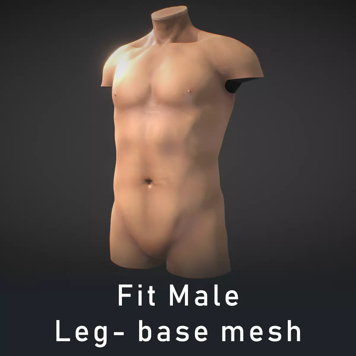 Fit Male Anatomy - Torso base mesh 3D model_0