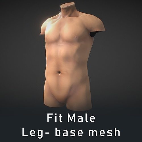Fit Male Anatomy - Torso base mesh 3D model