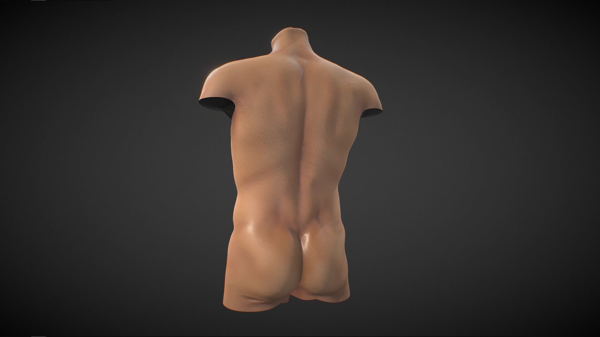 Fit Male Anatomy - Torso base mesh 3D model_3