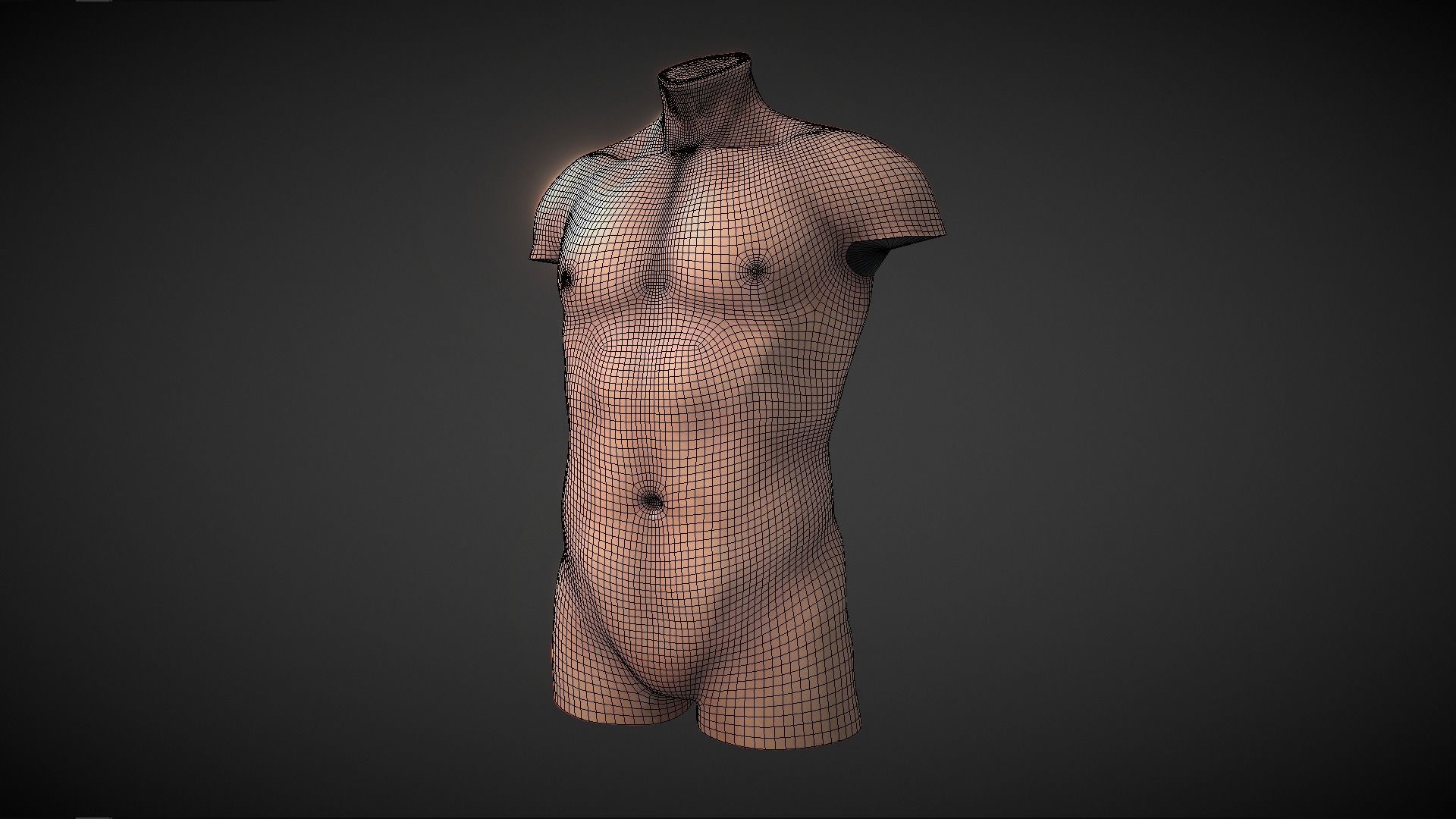 Fit Male Anatomy - Torso base mesh 3D model_2