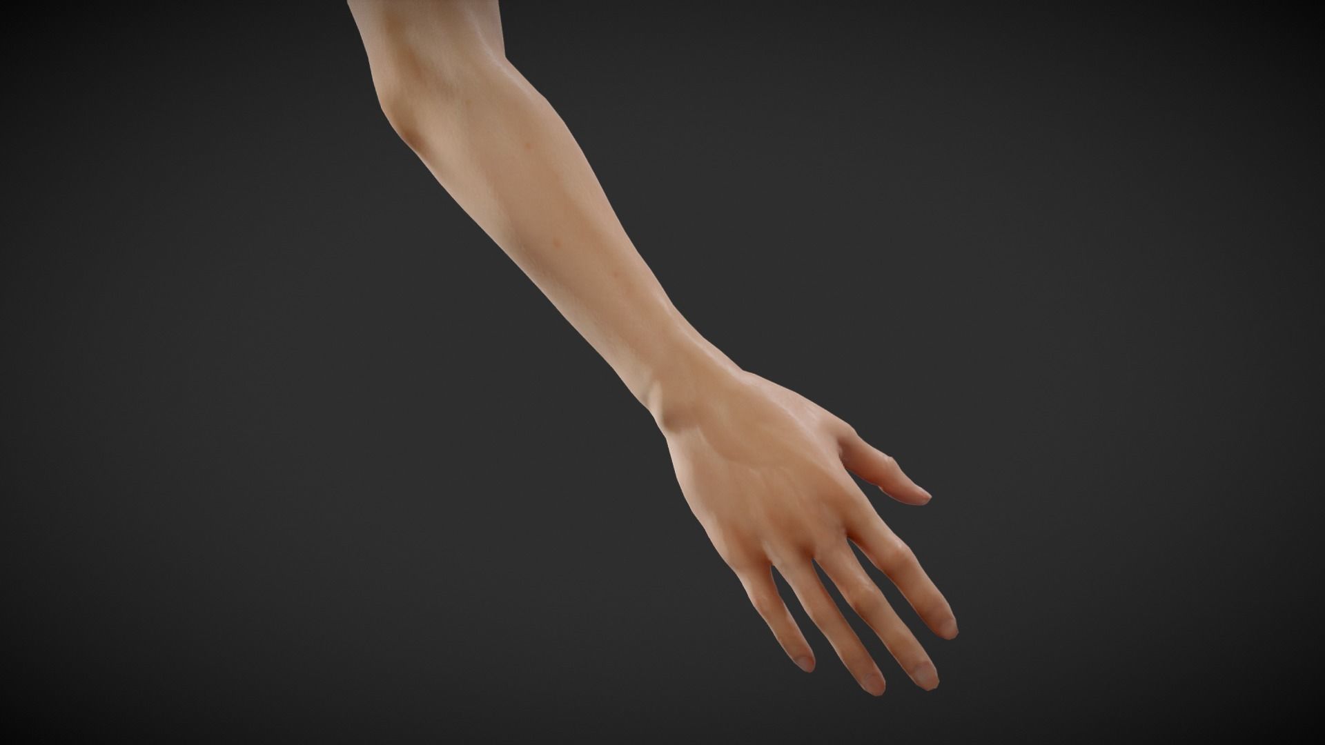 Fit Female Anatomy - Arm and Hand base mesh 3D model_2