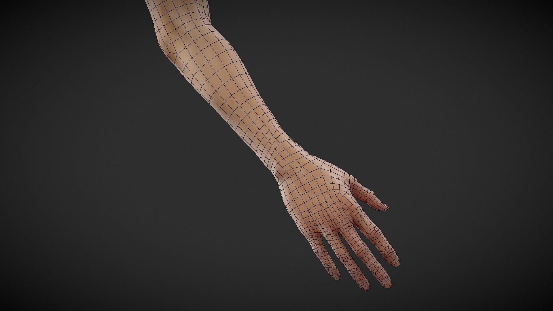 Fit Female Anatomy - Arm and Hand base mesh 3D model_3
