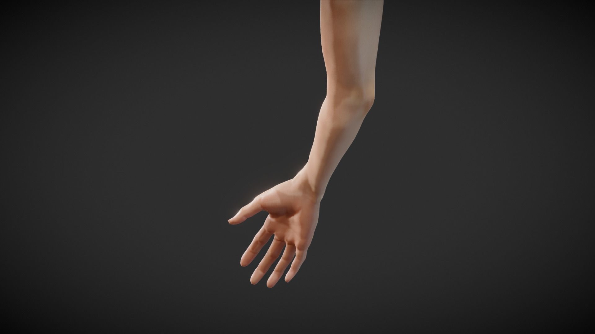 Fit Female Anatomy - Arm and Hand base mesh 3D model_1