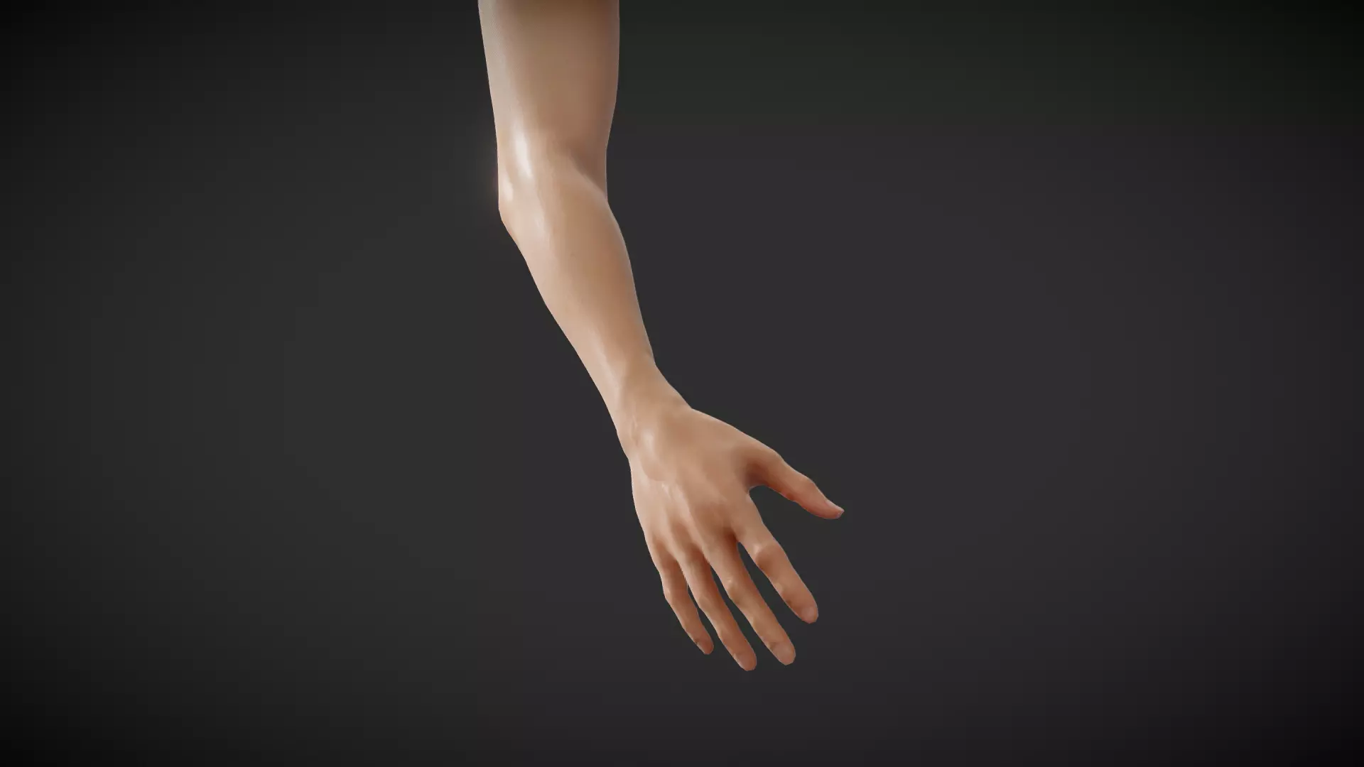 Fit Female Anatomy - Arm and Hand base mesh 3D model_0