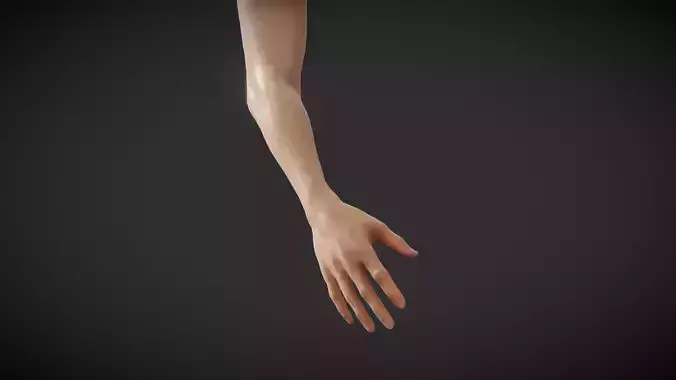 Fit Female Anatomy - Arm and Hand base mesh 3D model Fit Female Anatomy - Arm and Hand base mesh 3D model