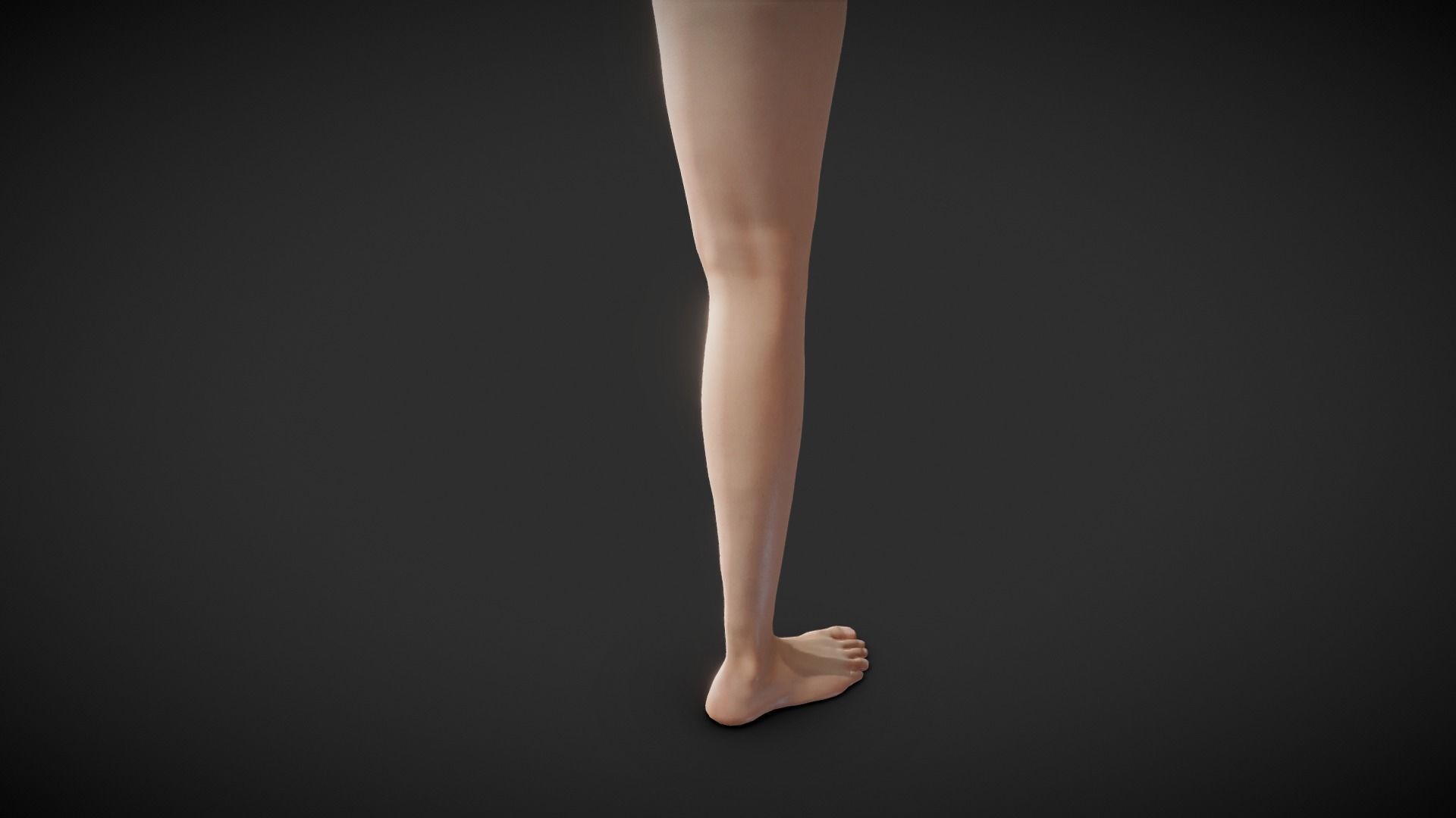 Fit Female Anatomy - Leg and Foot base mesh 3D model_1