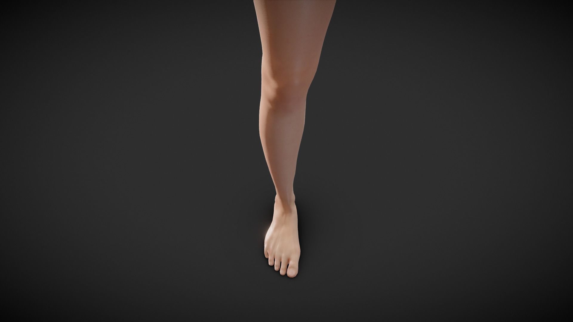 Fit Female Anatomy - Leg and Foot base mesh 3D model_2