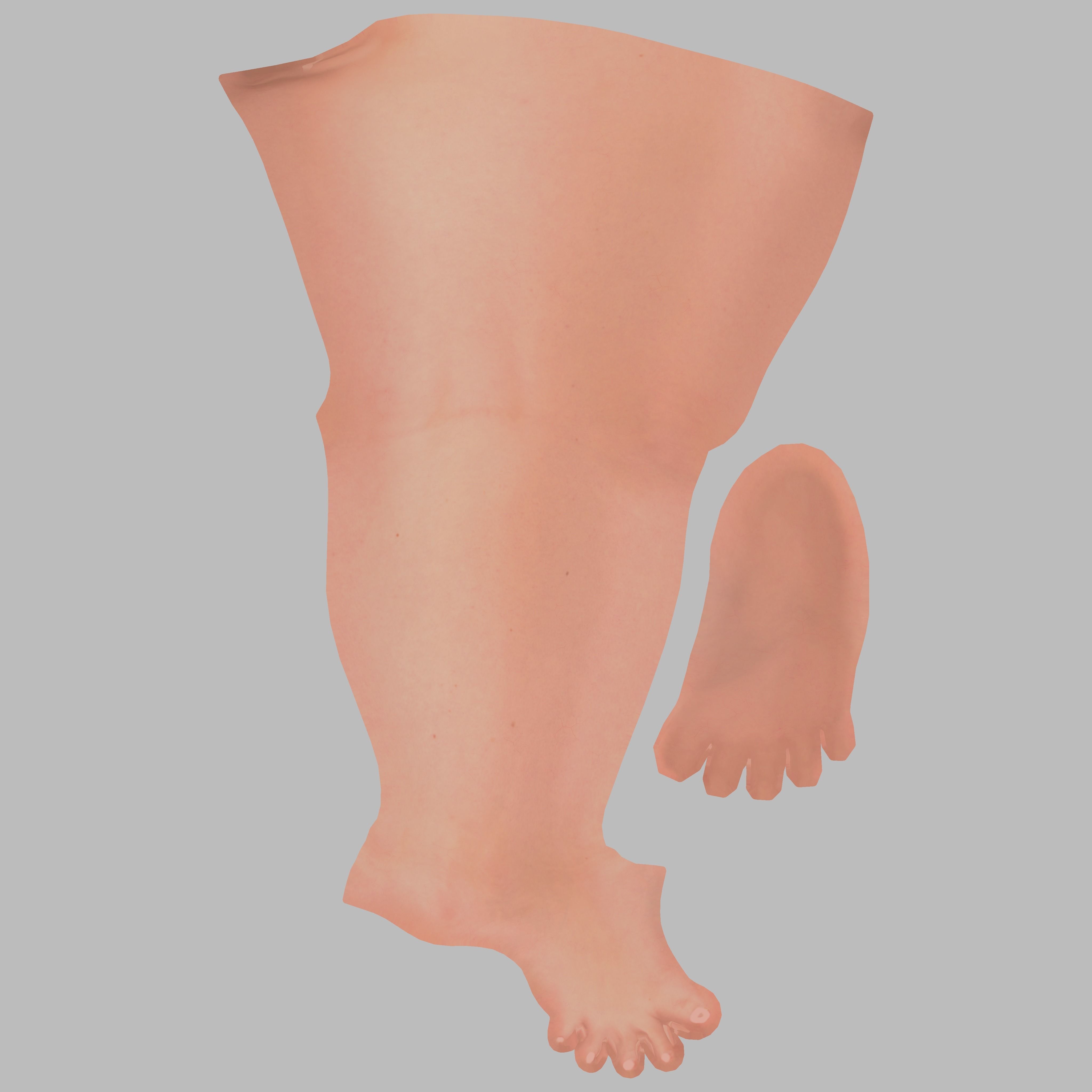 Fit Female Anatomy - Leg and Foot base mesh 3D model_4