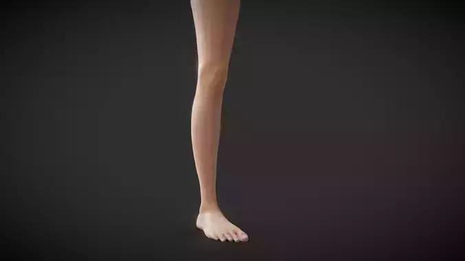 Fit Female Anatomy - Leg and Foot base mesh 3D model
