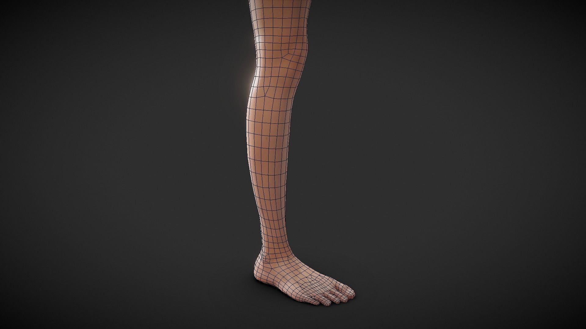 Fit Female Anatomy - Leg and Foot base mesh 3D model_3