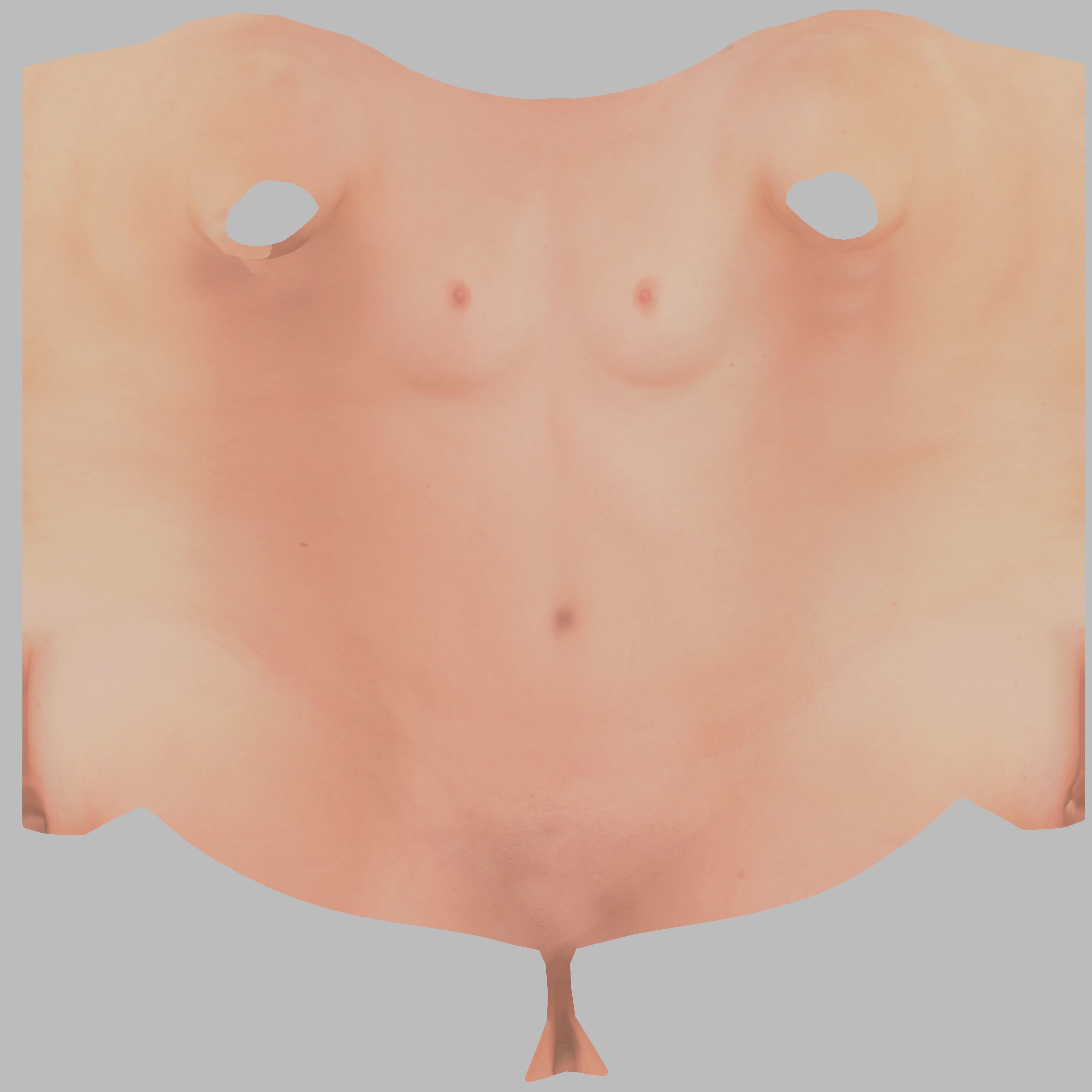 Fit Female Anatomy - Torso base mesh 3D model_4
