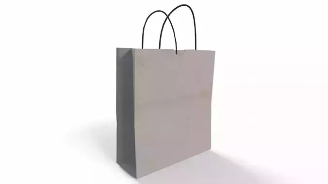 Paper Bag