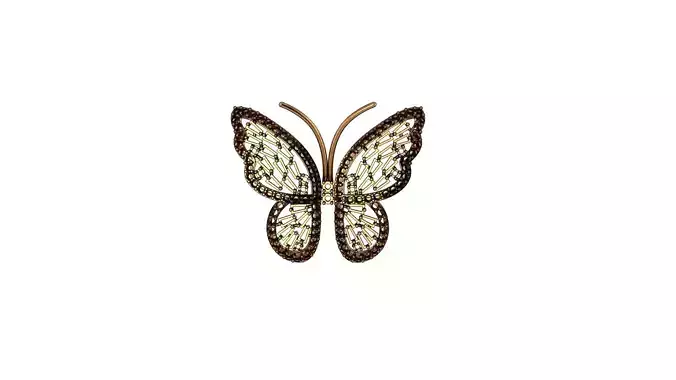 butterfly brooch