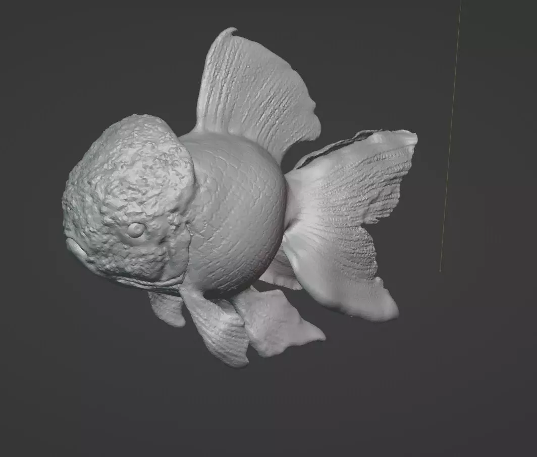 oranda fish stl 3D print model