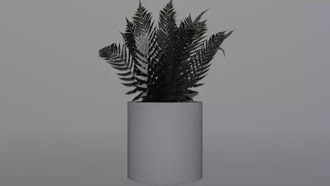 Plastic Vase Potted Fern