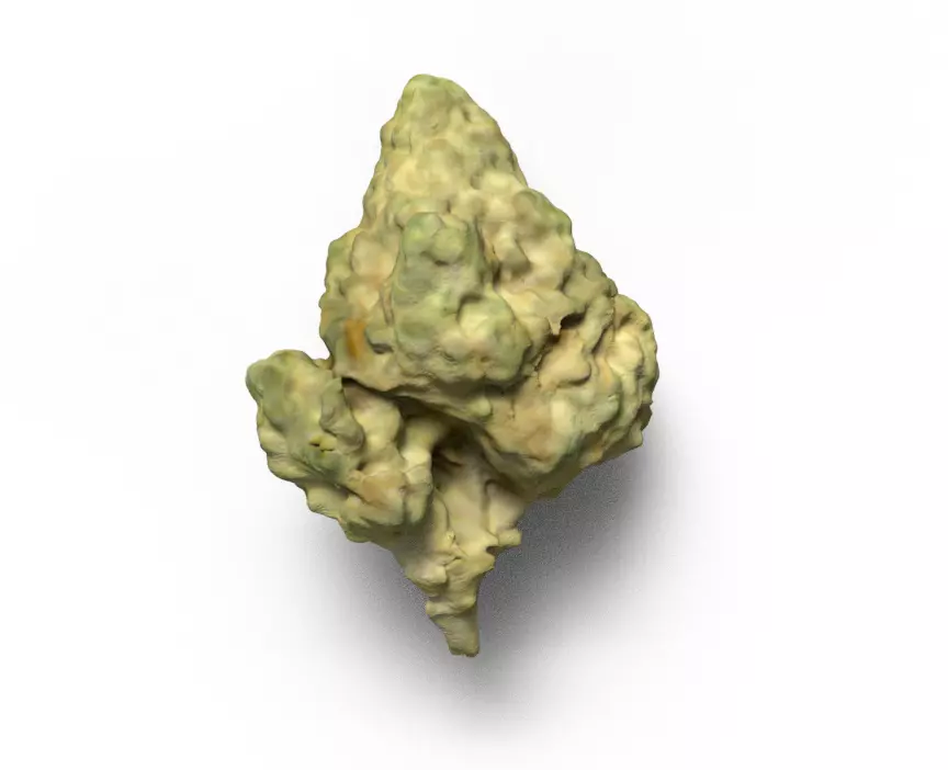 weed nug 3D model_0