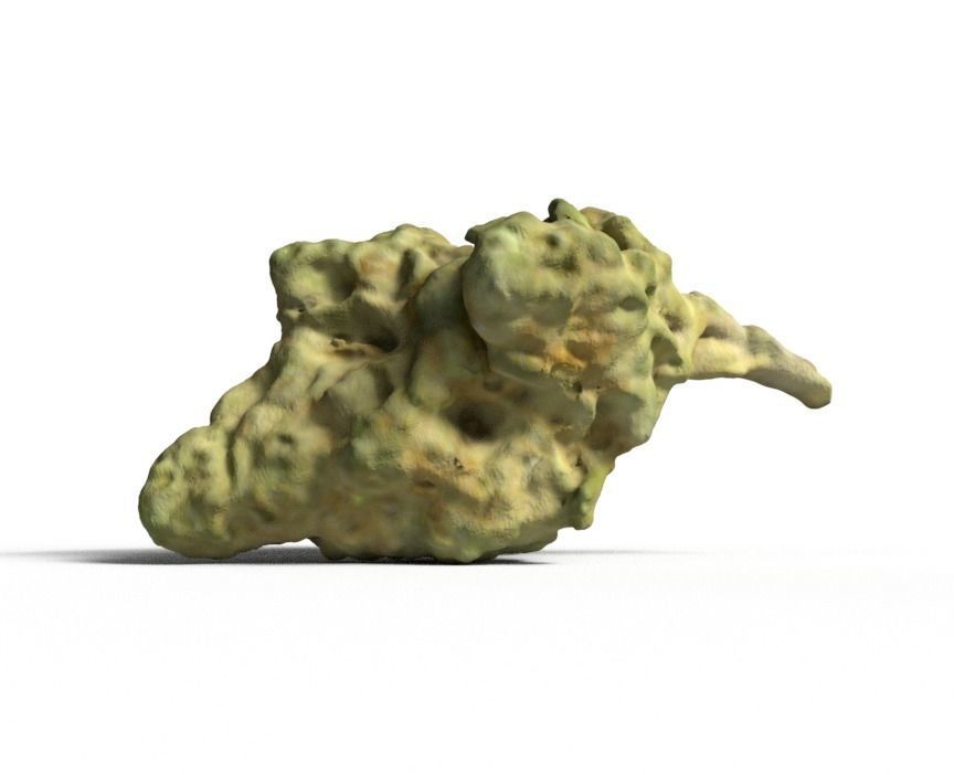 weed nug 3D model_2