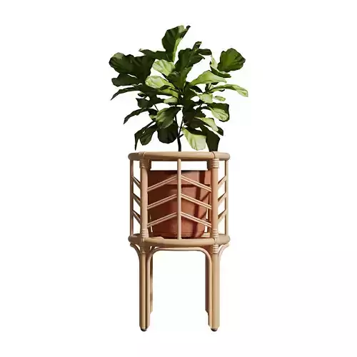 Bens Planter - Medium