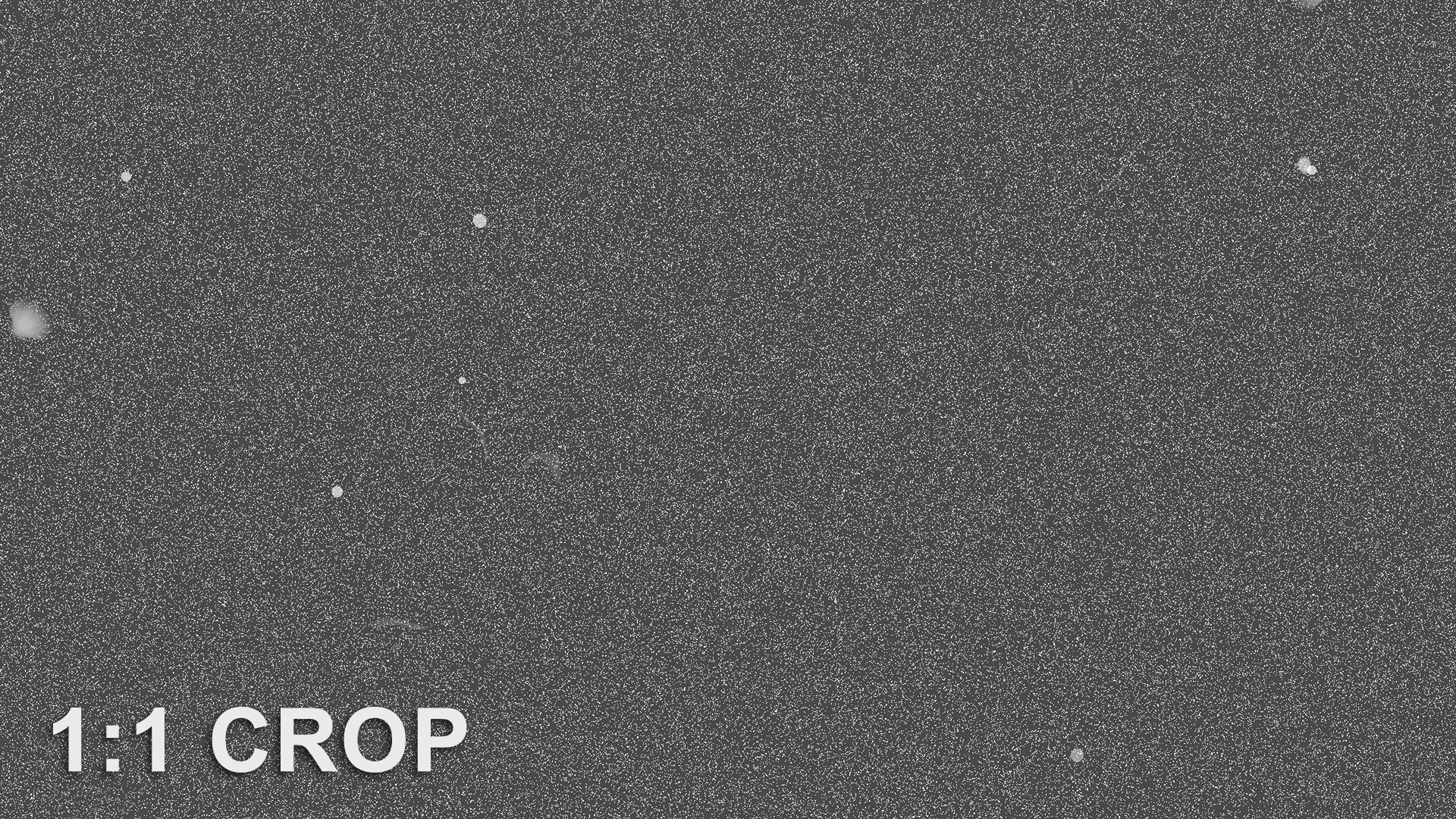 Large area sand texture Texture_7