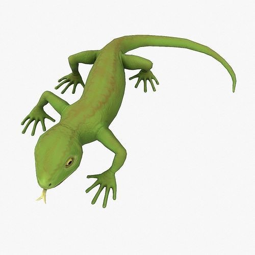 Lizard Rigged Low-poly 3D model