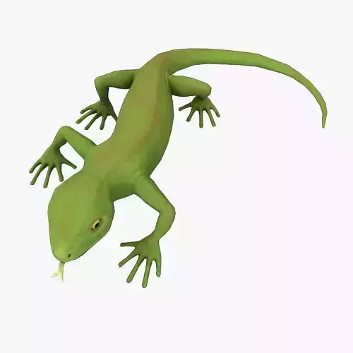 Lizard Rigged
