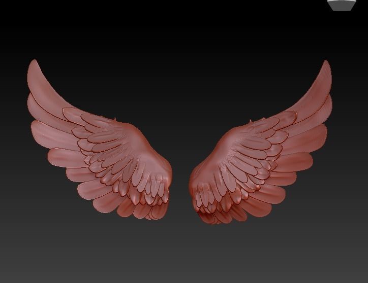Wings two 3D model_4
