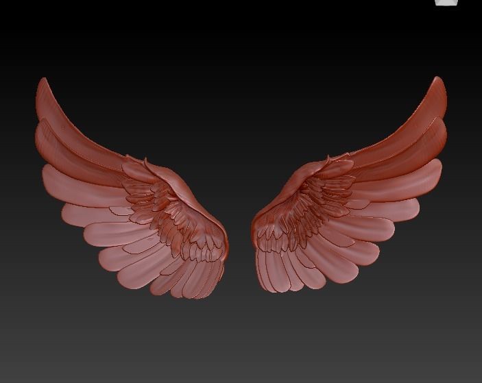 Wings two 3D model_3