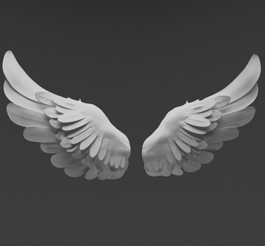 Wings two 3D model_2